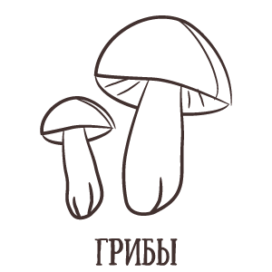 Грибы