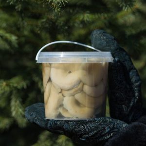 Грузди соленые 1 литр в пластиковом ведре
