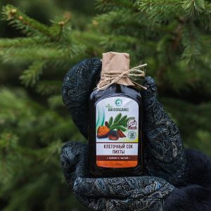 Клеточный сок пихты с чагой