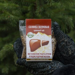 Солянка холмовая
