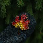 Авторская брошь из бисера