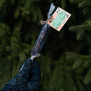 Цукаты из сосновых шишек на шпажке с клюквой 20 г