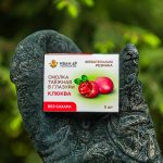 Смолка таёжная в глазури без сахара Клюква 5 г