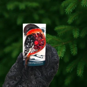 Брошь со смолой и вышивкой Птичка